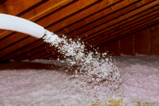 Best Geographic-Specific Insulation Services in Cascade Valley, WA