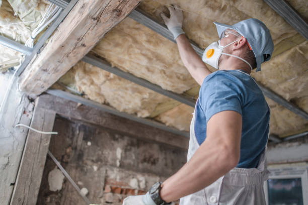 Best Insulation Maintenance and Repair in Cascade Valley, WA